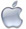 iTunes Link